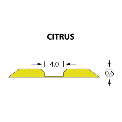 Linear Crease Matrix 4,0x0,60mm CITRUS -14,7m