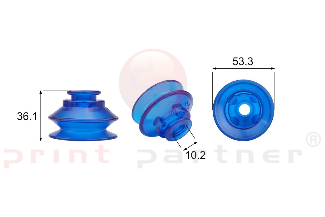 Shaped Rubber Sucker RS/02111