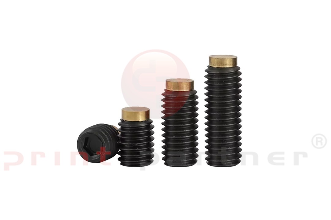 Brass Tipped Grub Screws M8x8