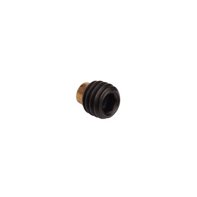 Brass Tipped Grub Screws M8x6