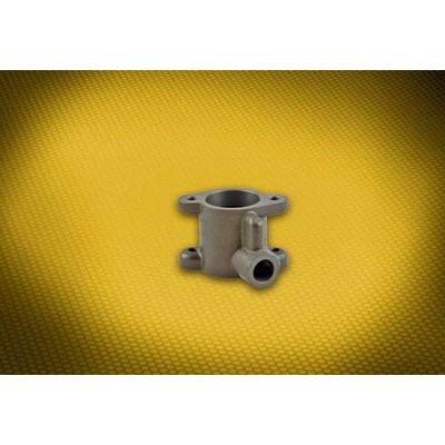 Korpus do Heidelberg