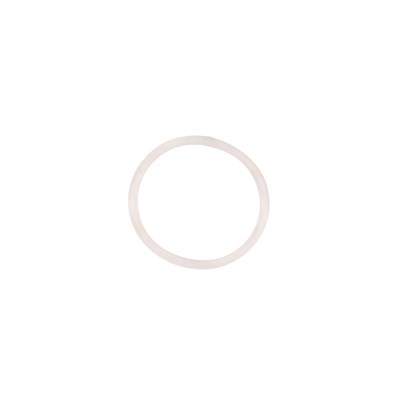 O-Ring do ASTER