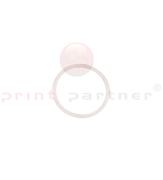 O-Ring do ASTER