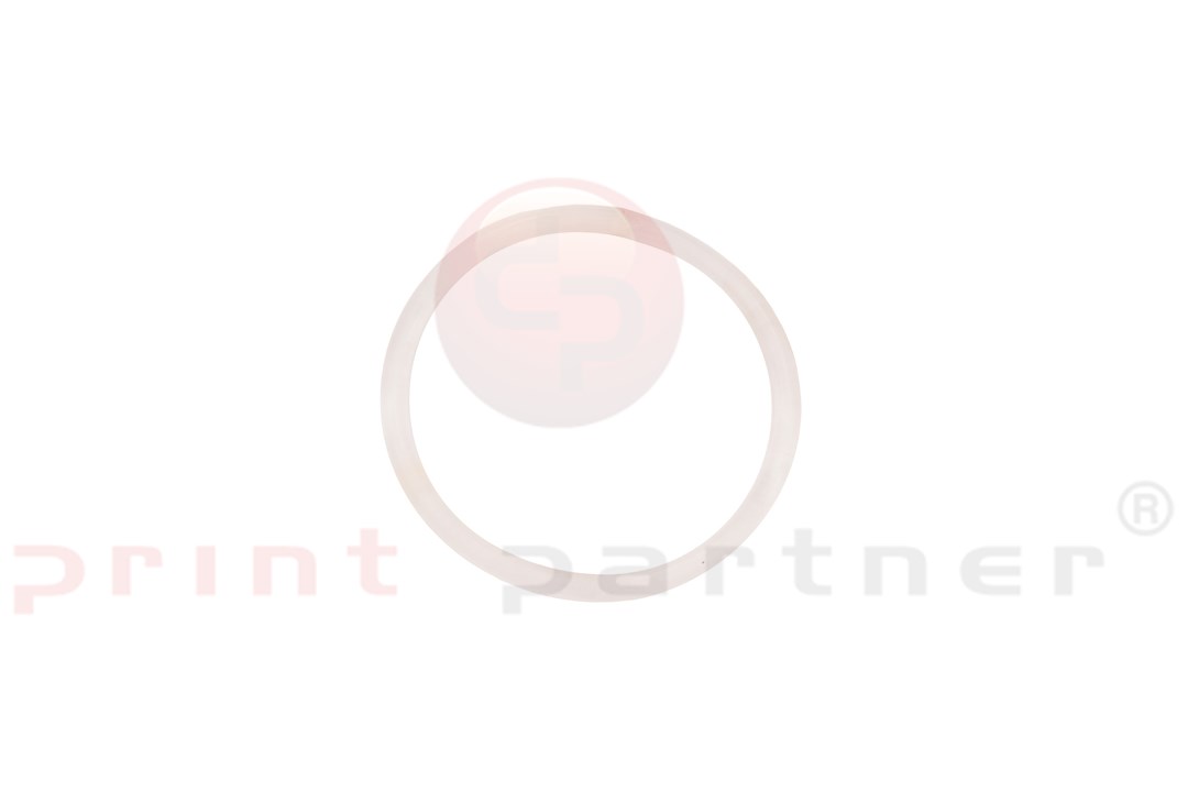 O-Ring do ASTER
