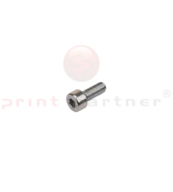 Allen head cyl. screw 0030.0170