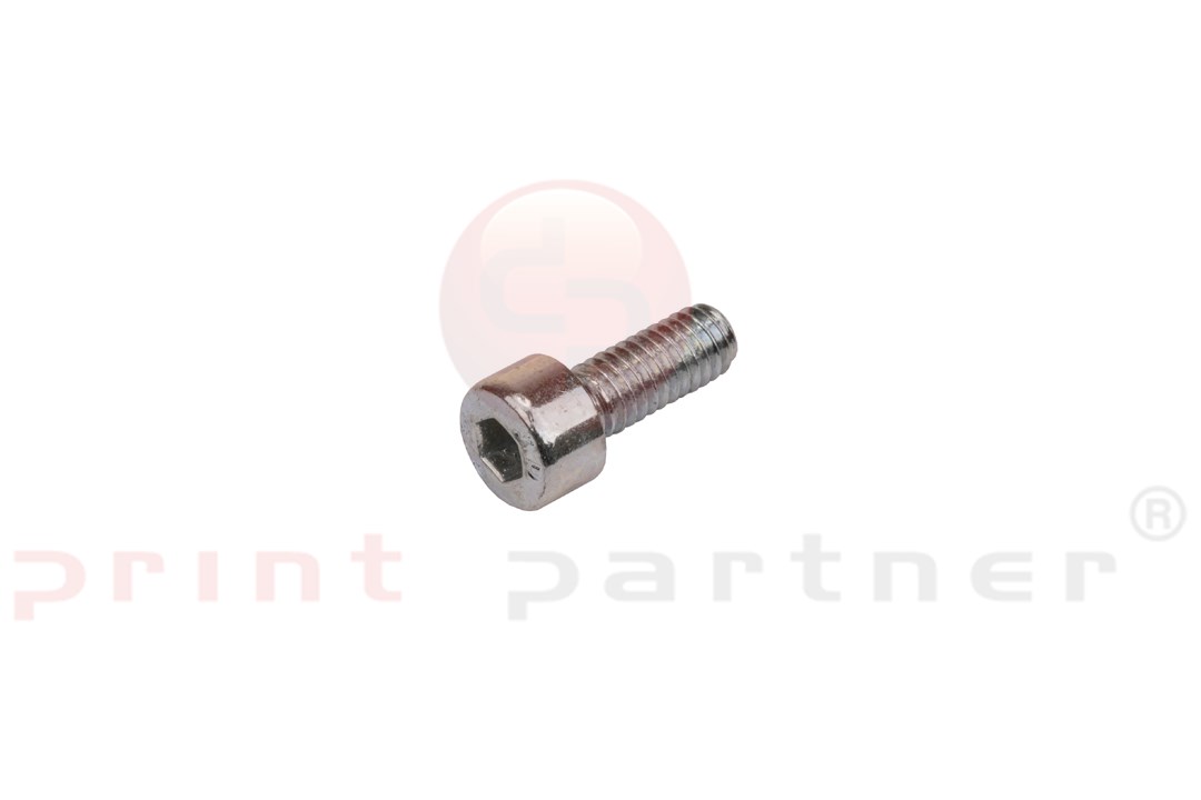 Allen head cyl. screw 0030.0170