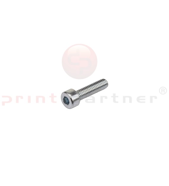 Allen head cylinder screw for Müller Martini