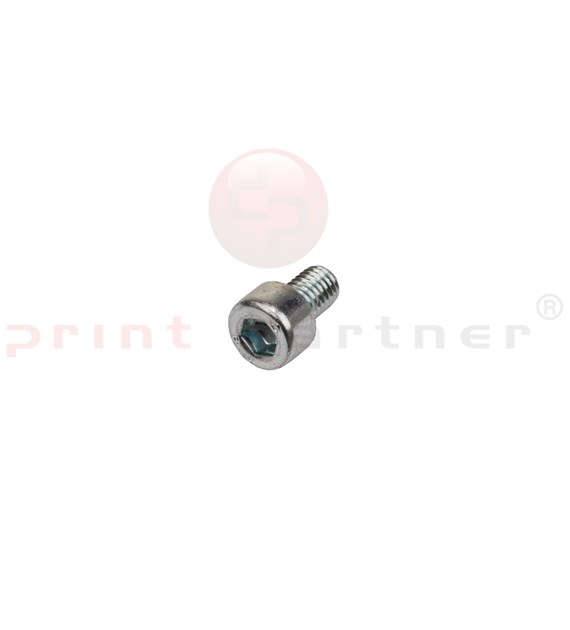 Allen head cylinder screw for Müller Martini