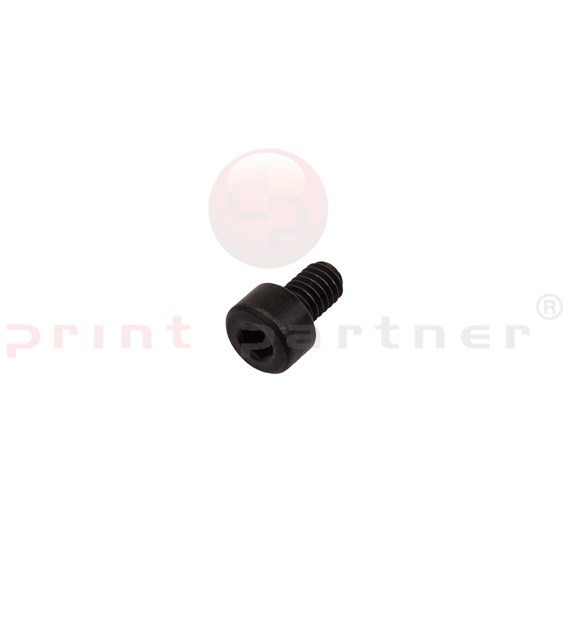 Allen head cylinder screw for Müller Martini
