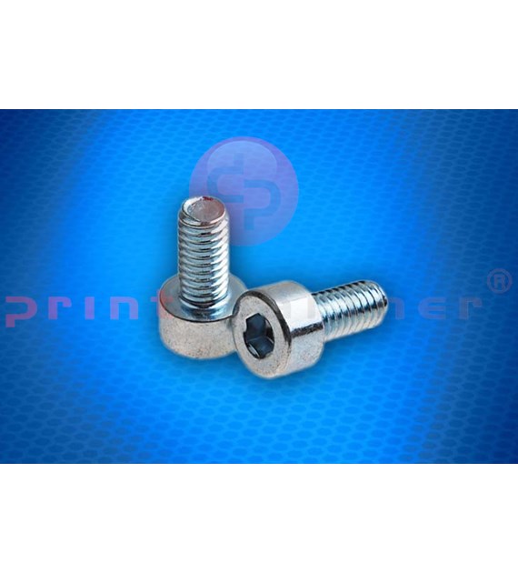 Allen Screw - 79040081