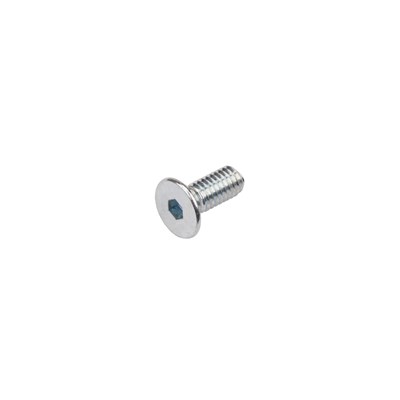 Allen Flathead Screw - 8404010