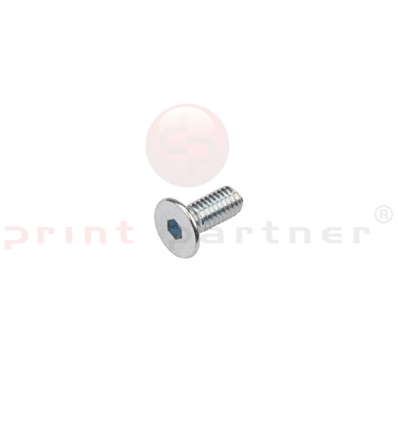 Allen Flathead Screw - 8404010