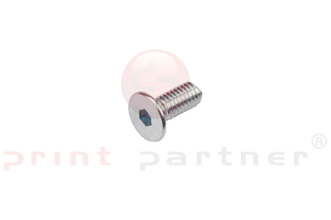 Allen Flathead Screw - 8404010