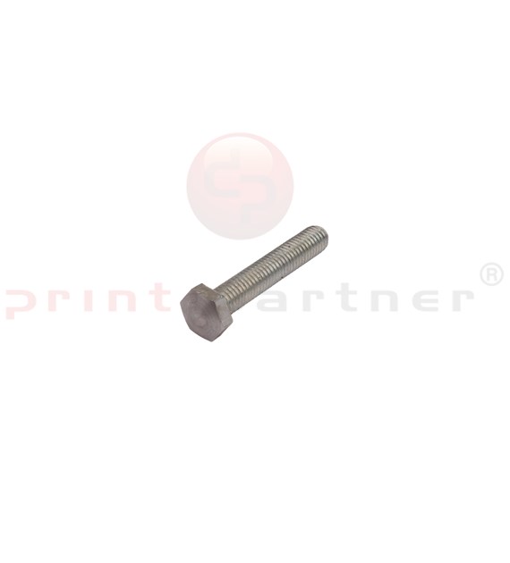 Screw for INTROMA 4B165