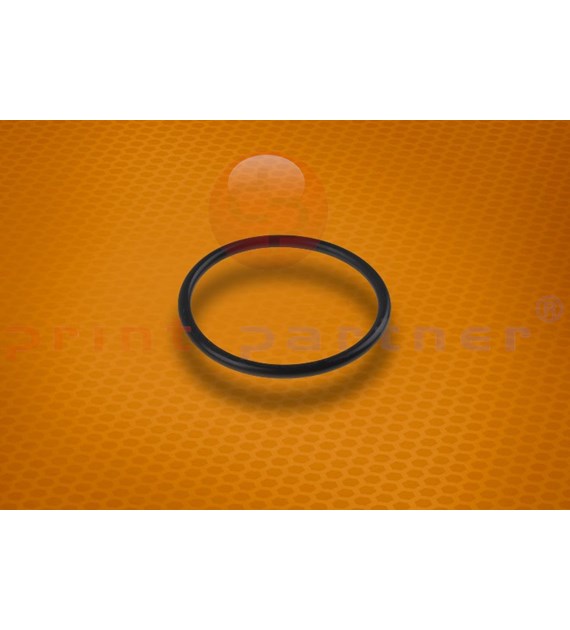 O-Ring do ASTER