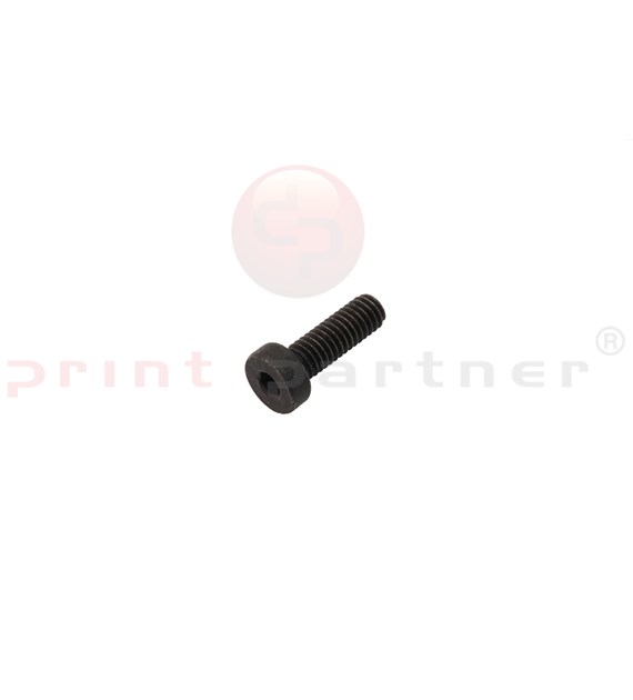 Allen head cylinder screw for Müller Martini