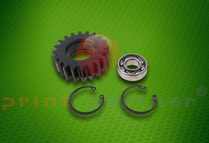 Pinion gear cpl. for Heidelberg Cylinder