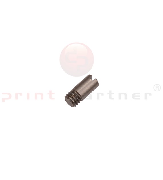 Hook Pivot Screw, DB45 042005