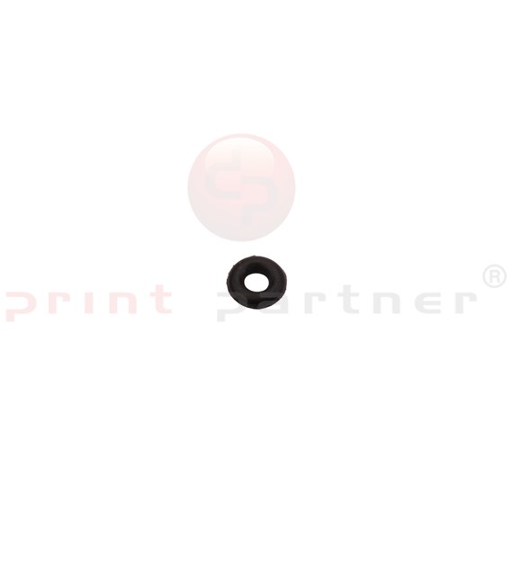 O-Ring do ASTER