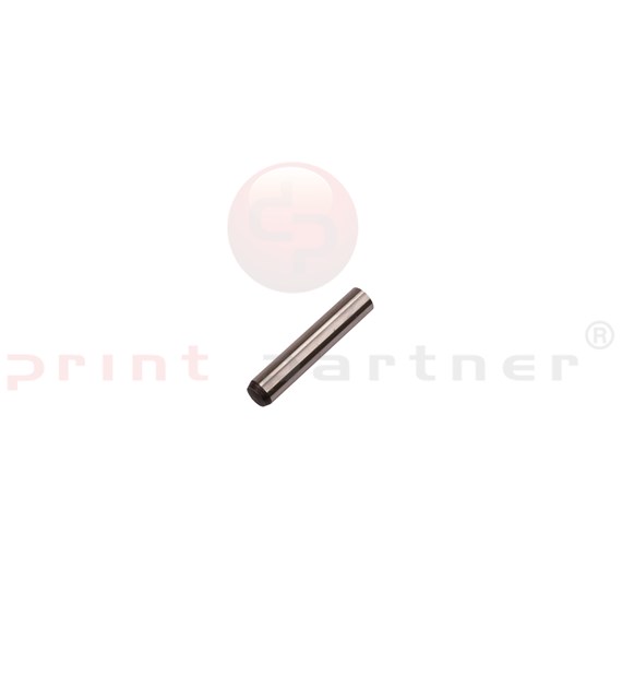 Dowel Pin 073010