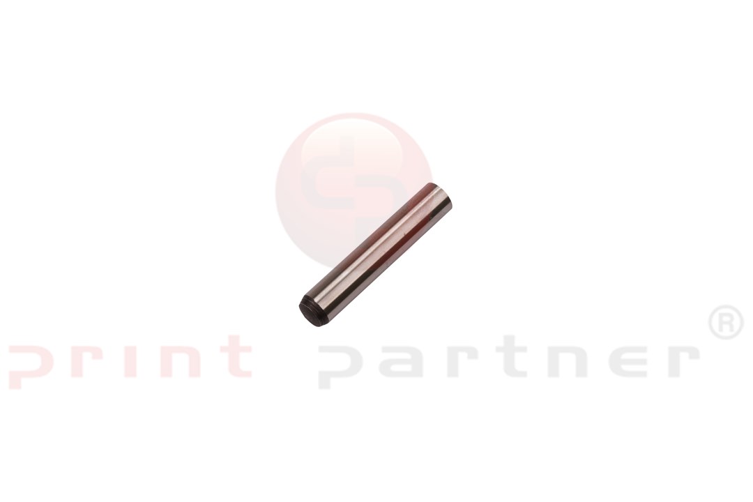 Dowel Pin 073010