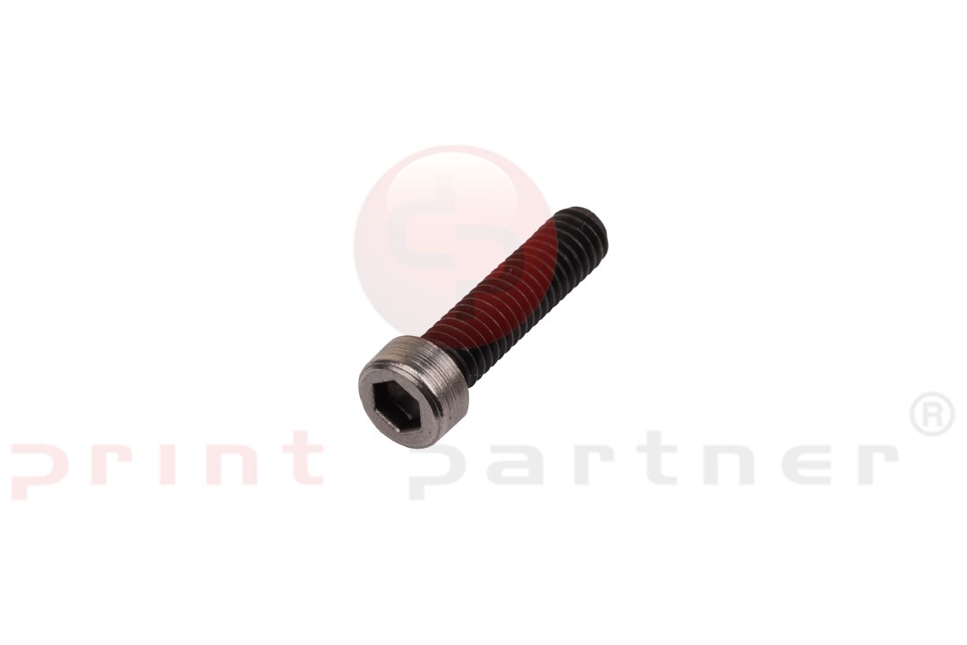 Allen Head Screw 072019