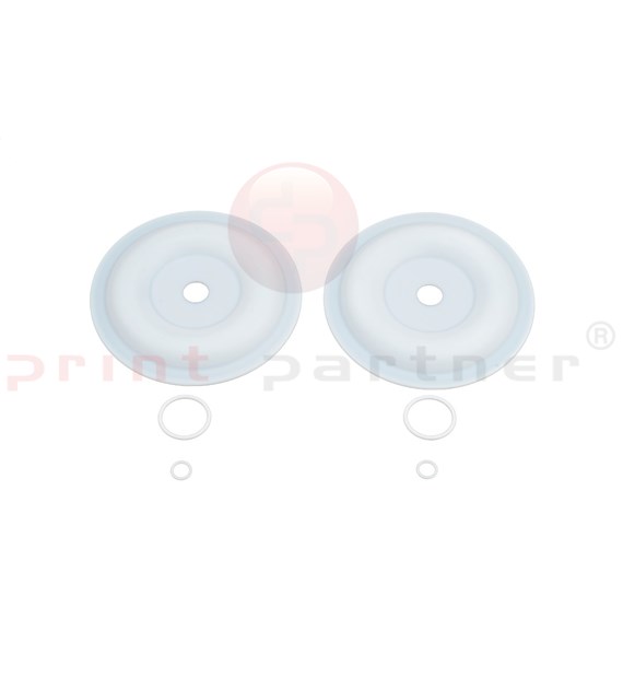 Diaphragm repair kit for H&B