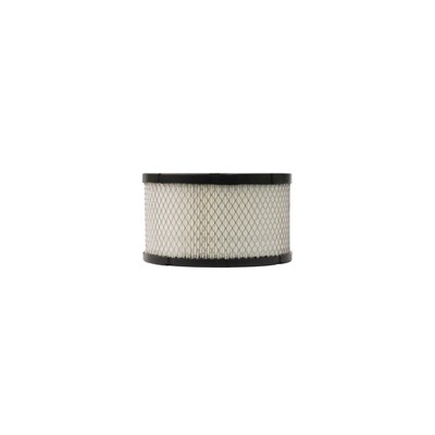 Air Filter for Belair Compressor