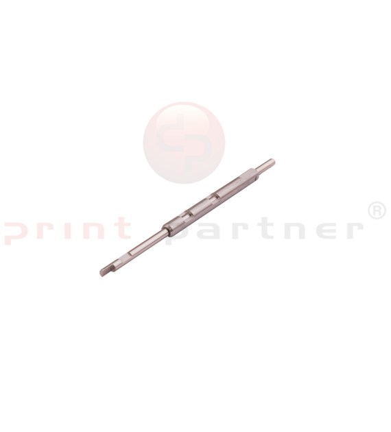 Ersatzteil für Aster