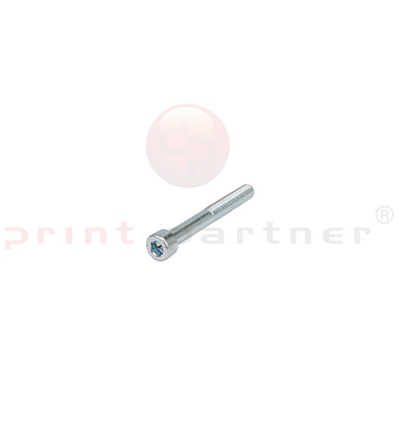 Allen head cylinder screw for Müller Martini