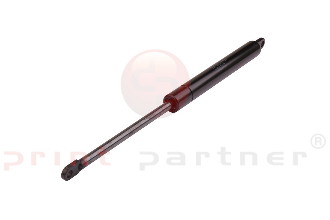 Pneumatic spring for BOBST