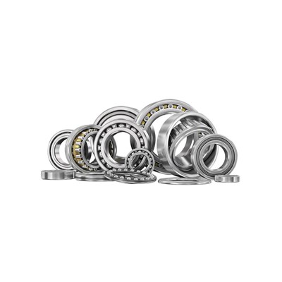 Needle bearing for BOBST