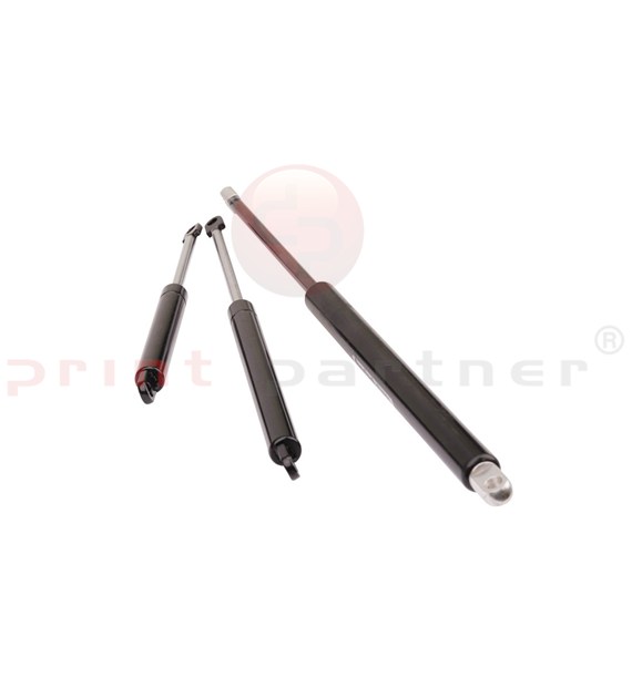 Pneumatic spring for BOBST