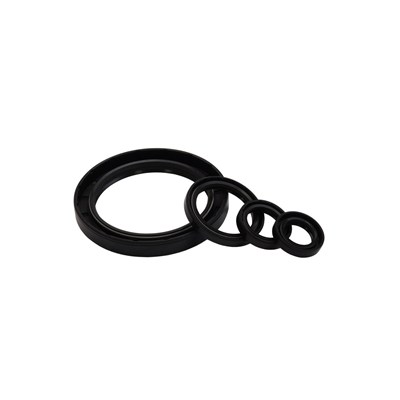 Rotary shaft seal for Müller Martini