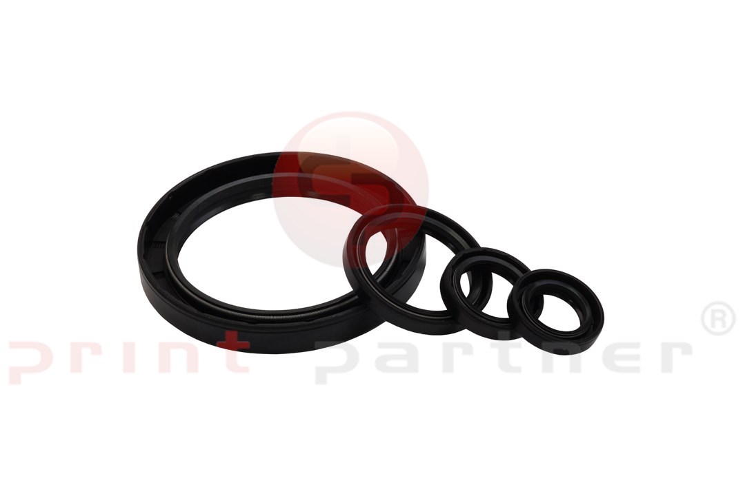 Rotary shaft seal for Müller Martini